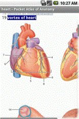 game pic for Atlas of Anatomy